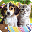Cats & Dogs Jigsaw Puzzles