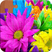 Flowers & Gardens Puzzles