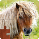 Pony Puzzles: Pony and Horse Jigsaw Puzzles APK