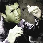 Icona Donnie Yen