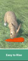 Adopt A Rabbit : Virtual Pet capture d'écran 1