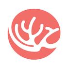 Hawaii Unified icon