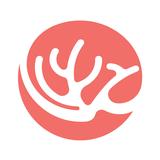 Hawaii Unified 图标