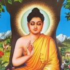 Buddha wallpapers HD ícone
