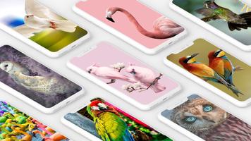 Bird Wallpaper постер