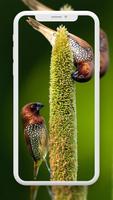 Bird Wallpaper скриншот 1