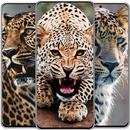 Leopard Wallpapers HD 🐯 APK