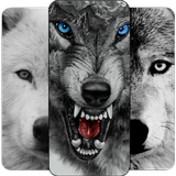 Wolf Wallpaper simgesi