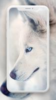 Wolf Wallpaper स्क्रीनशॉट 3