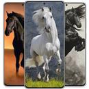 Horse wallpapers HD – Animal wallpapers APK