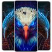 Eagle wallpapers