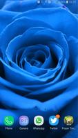 HD Blue Rose Wallpaper capture d'écran 1
