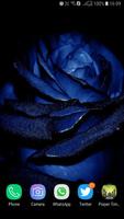 HD Blue Rose Wallpaper capture d'écran 3