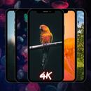 4k Wallpapers || Hd Wallpapers APK