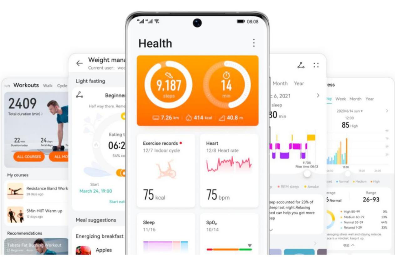 Huawei health версии. Хуавей Хеалт приложение. Huawei Health экраны приложения. Huawei Health все на китайском. Хуавей здоровье на русском.