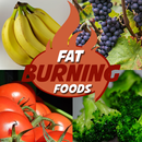 Fat Burning Foods Gratuit APK