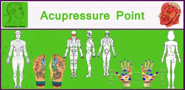Acupressure Point Full Body