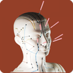 Acupuncture Guide