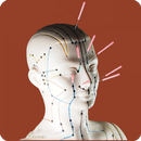 Acupuncture Guide APK