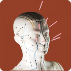 Acupuncture Guide icône