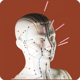 Acupuncture Guide icon
