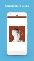Acupuncture Guide poster