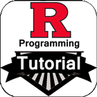 R Programming icon