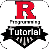 R Programming icon