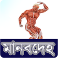 মানবেহ