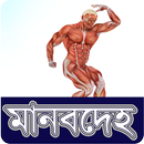 মানবেহ APK