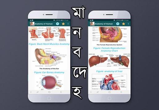 মানবদেহ 截图 6