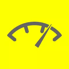 SHv4 Calculator XAPK download