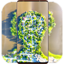Heaven Wallpaper 4K-APK