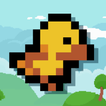 Chick In The Sky