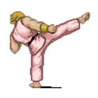 Fighter Journey आइकन