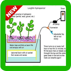 Compléter les idées de jardinage hydroponique icône