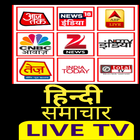 Hindi News Live TV icône