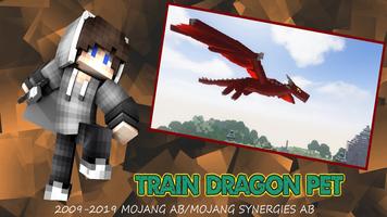 Mod Dragon Craft : MCPE Pet poster