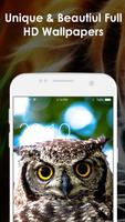 Cute Animal Wallpaper Affiche