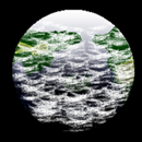 ひつぎの高校地学 1091問 APK
