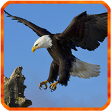 Eagle Live Wallpaper icon
