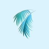Sailing Club Villas icon