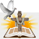 Holy Bible by William Nabaza APK