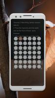 NKJV Audio Bible - New King Ja screenshot 3