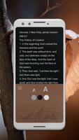 NKJV Audio Bible - New King Ja screenshot 2