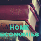 Home Economics icône