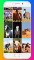 Horse Wallpaper Affiche