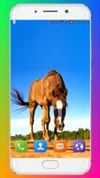 Horse Wallpaper imagem de tela 1