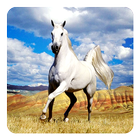 Pferd Live Hintergrund Zeichen