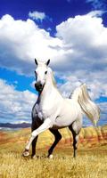 Horse Live Wallpaper تصوير الشاشة 1